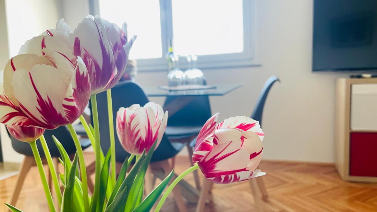 רייקה Apartment Iva מראה חיצוני תמונה